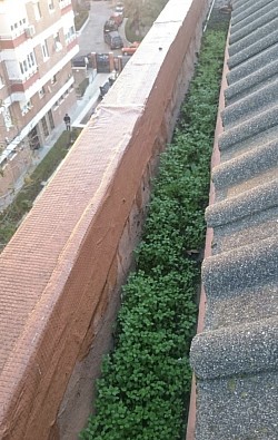 limpieza canalones boiro